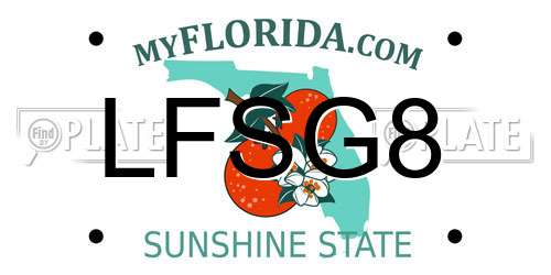 LFSG8 Florida License Plate