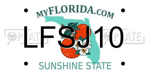 LFSJ10 Florida License Plate