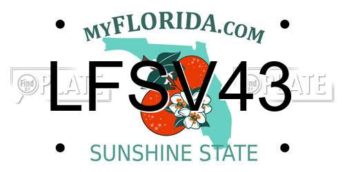 LFSV43 Florida License Plate