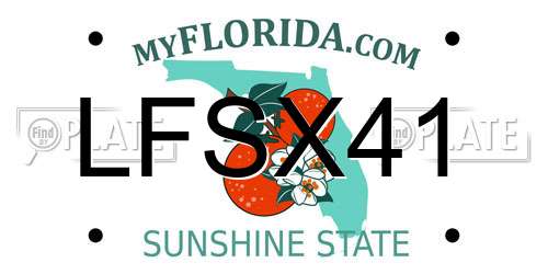 LFSX41 Florida License Plate