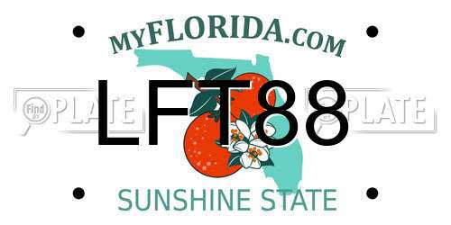 LFT88 Florida License Plate