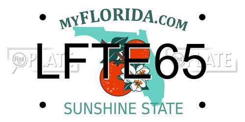 LFTE65 Florida License Plate