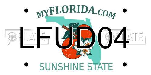 LFUD04 Florida License Plate