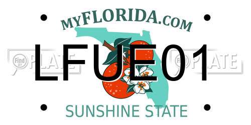 LFUE01 Florida License Plate