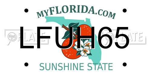 LFUH65 Florida License Plate