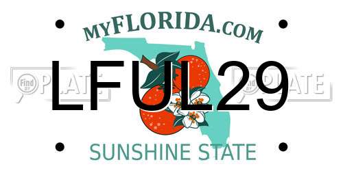 LFUL29 Florida License Plate
