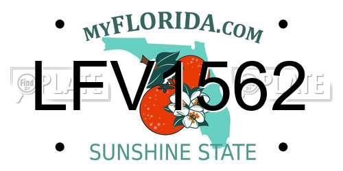 LFV1562 Florida License Plate