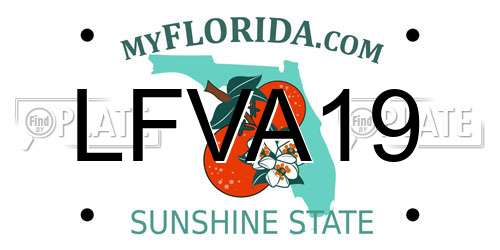 LFVA19 Florida License Plate