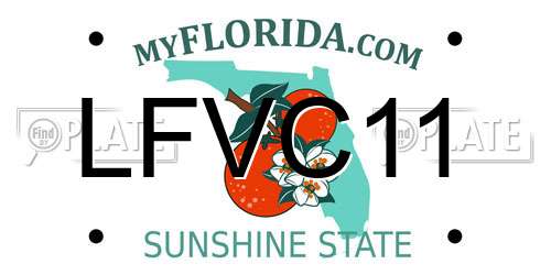 LFVC11 Florida License Plate