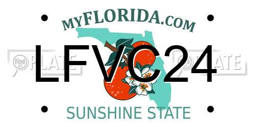 LFVC24 Florida License Plate