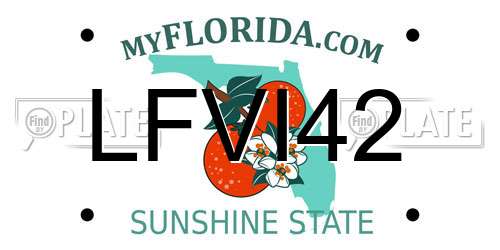 LFVI42 Florida License Plate