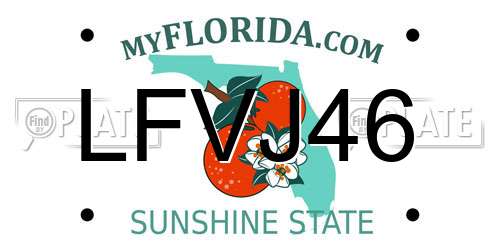 LFVJ46 Florida License Plate