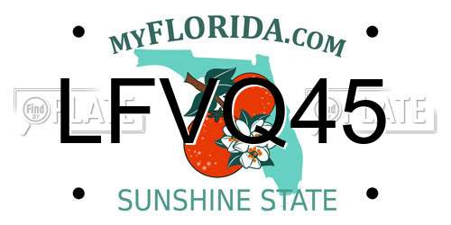 LFVQ45 Florida License Plate