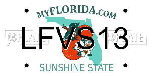 LFVS13 Florida License Plate