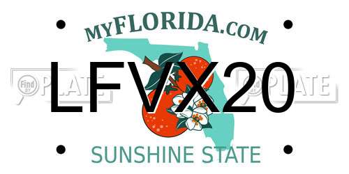 LFVX20 Florida License Plate