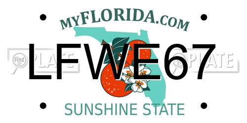 LFWE67 Florida License Plate