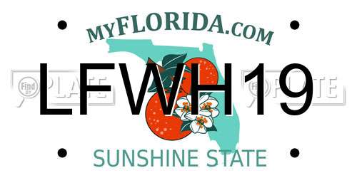 LFWH19 Florida License Plate