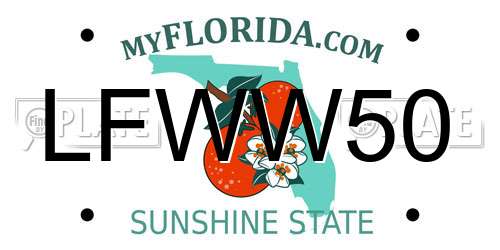 LFWW50 Florida License Plate
