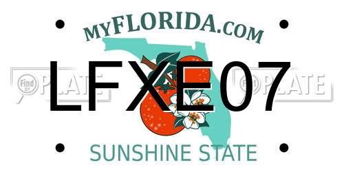 LFXE07 Florida License Plate