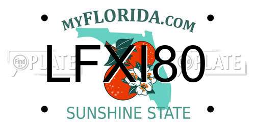 LFXI80 Florida License Plate