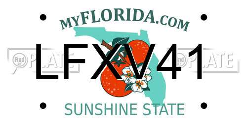 LFXV41 Florida License Plate