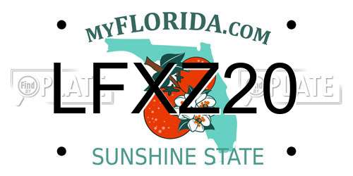 LFXZ20 Florida License Plate