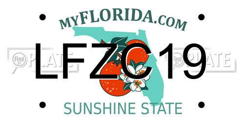 LFZC19 Florida License Plate