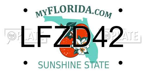 LFZD42 Florida License Plate
