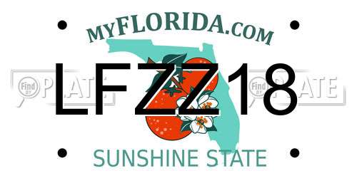 LFZZ18 Florida License Plate
