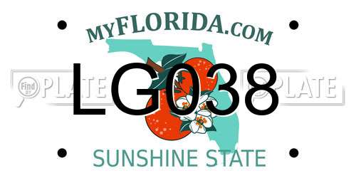 LG038 Florida License Plate