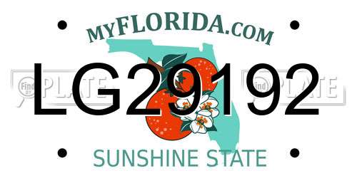LG29192 Florida License Plate