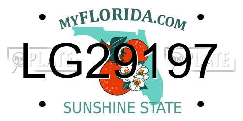 LG29197 Florida License Plate