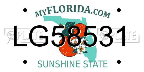 LG58531 Florida License Plate