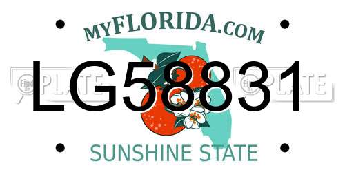 LG58831 Florida License Plate