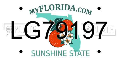 LG79197 Florida License Plate