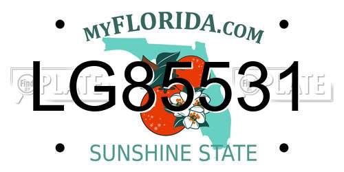 LG85531 Florida License Plate