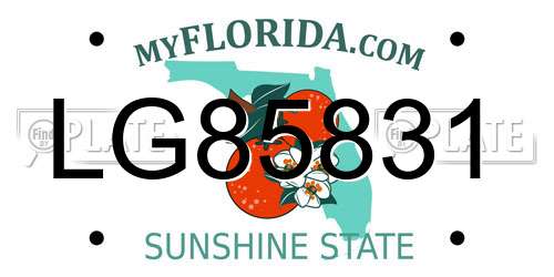 LG85831 Florida License Plate