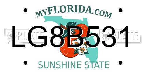 LG8B531 Florida License Plate