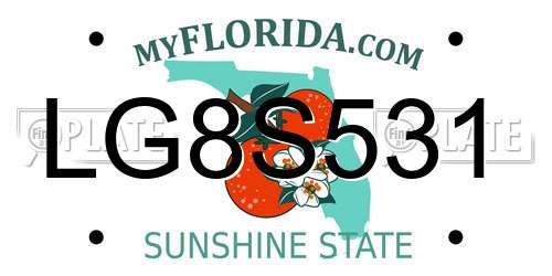 LG8S531 Florida License Plate