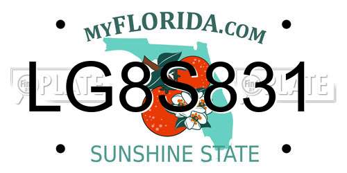 LG8S831 Florida License Plate