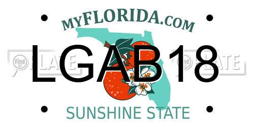 LGAB18 Florida License Plate