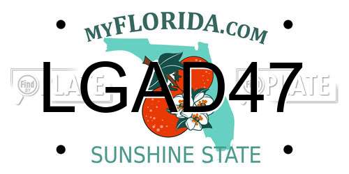 LGAD47 Florida License Plate