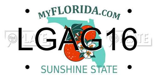 LGAG16 Florida License Plate