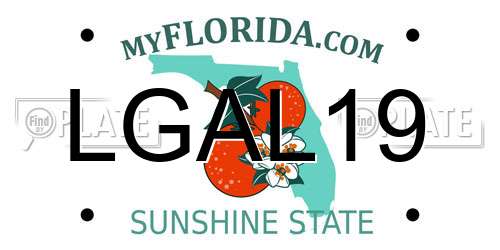 LGAL19 Florida License Plate