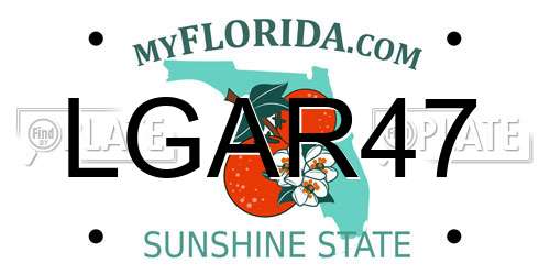 LGAR47 Florida License Plate