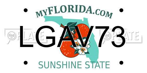 LGAV73 Florida License Plate