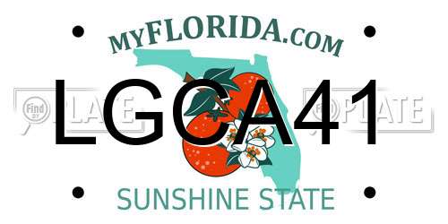 LGCA41 Florida License Plate
