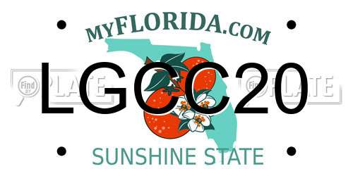 LGCC20 Florida License Plate