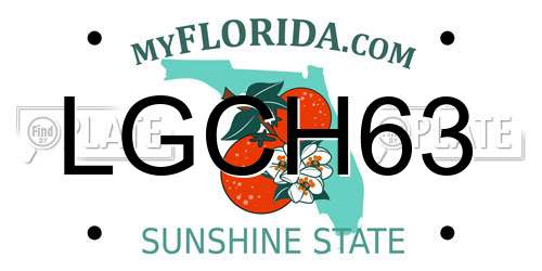 LGCH63 Florida License Plate