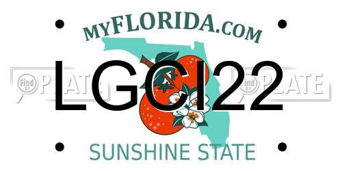 LGCI22 Florida License Plate